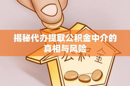 皇姑揭秘代办提取公积金中介的真相与风险