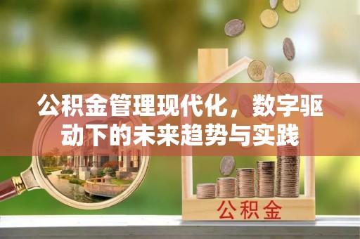 嘉峪关公积金管理现代化，数字驱动下的未来趋势与实践