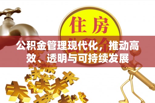 杜尔伯特公积金管理现代化，推动高效、透明与可持续发展