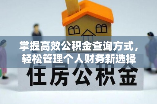 东兴掌握高效公积金查询方式，轻松管理个人财务新选择