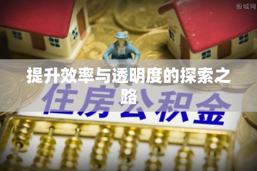 柳州提升效率与透明度的探索之路