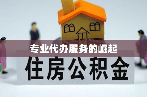 博山专业代办服务的崛起