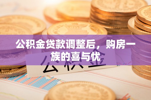 东丽公积金贷款调整后，购房一族的喜与忧