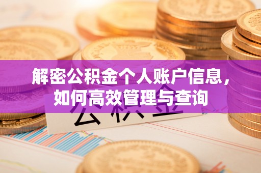 老城解密公积金个人账户信息，如何高效管理与查询