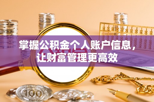 凤城掌握公积金个人账户信息，让财富管理更高效