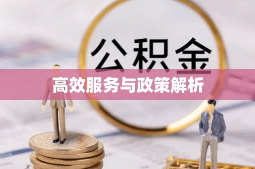 点军高效服务与政策解析