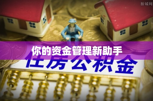 六安你的资金管理新助手