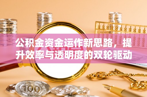 细河公积金资金运作新思路，提升效率与透明度的双轮驱动