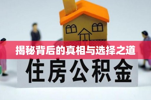 德城揭秘背后的真相与选择之道