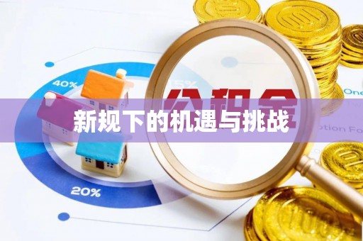 东明新规下的机遇与挑战