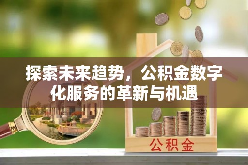 南平探索未来趋势，公积金数字化服务的革新与机遇