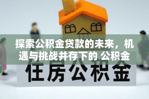 杉林探索公积金贷款的未来，机遇与挑战并存下的 公积金贷款风险防控