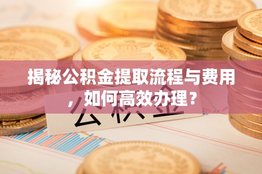 南头揭秘公积金提取流程与费用，如何高效办理？