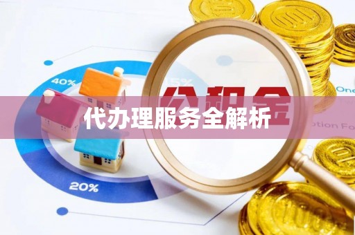 大悟代办理服务全解析