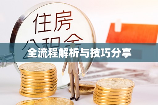 指南全流程解析与技巧分享
