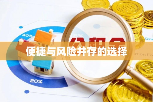 叶城便捷与风险并存的选择